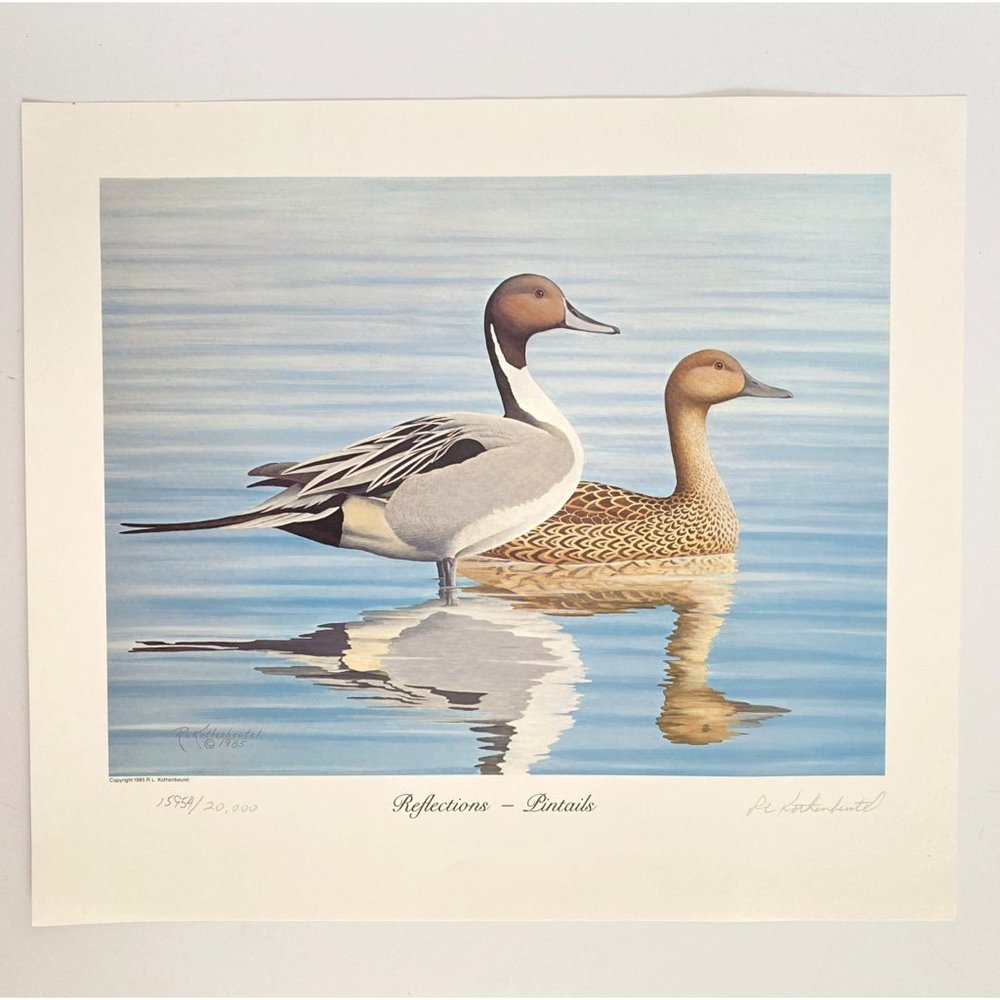 1985 Pintails Bob Kothenbeutel Artist Signed Numbered Ltd Edition Wild Images